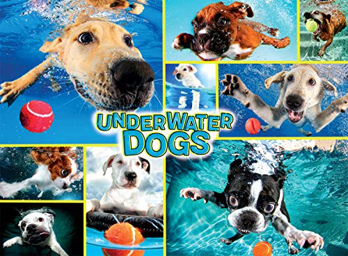 Buffalo Games Underwater Dogs 1000 Piece Jigsaw Puzzle - Image 1