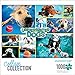 Buffalo Games Underwater Dogs 1000 Piece Jigsaw Puzzle - Image 3