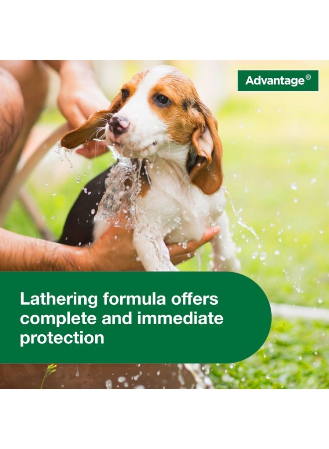 Advantage Dog Flea & Tick Shampoo for Puppies & Adult Dogs | Kills Fleas & Ticks | 8 oz. - Image 3