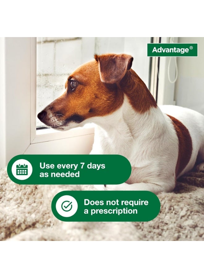 Advantage Dog Flea & Tick Shampoo for Puppies & Adult Dogs | Kills Fleas & Ticks | 8 oz. - Image 5