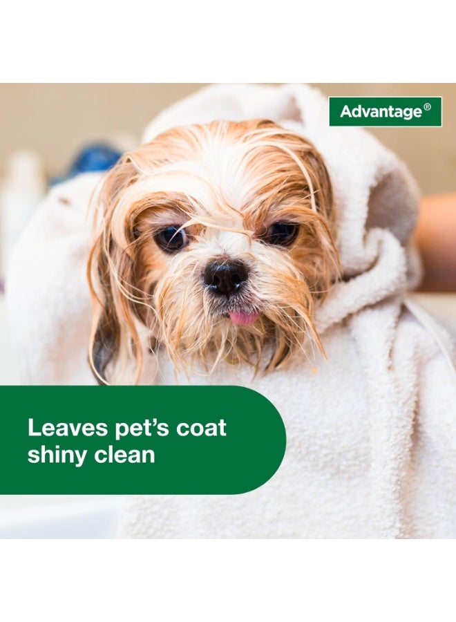 Advantage Dog Flea & Tick Shampoo for Puppies & Adult Dogs | Kills Fleas & Ticks | 8 oz. - Image 2