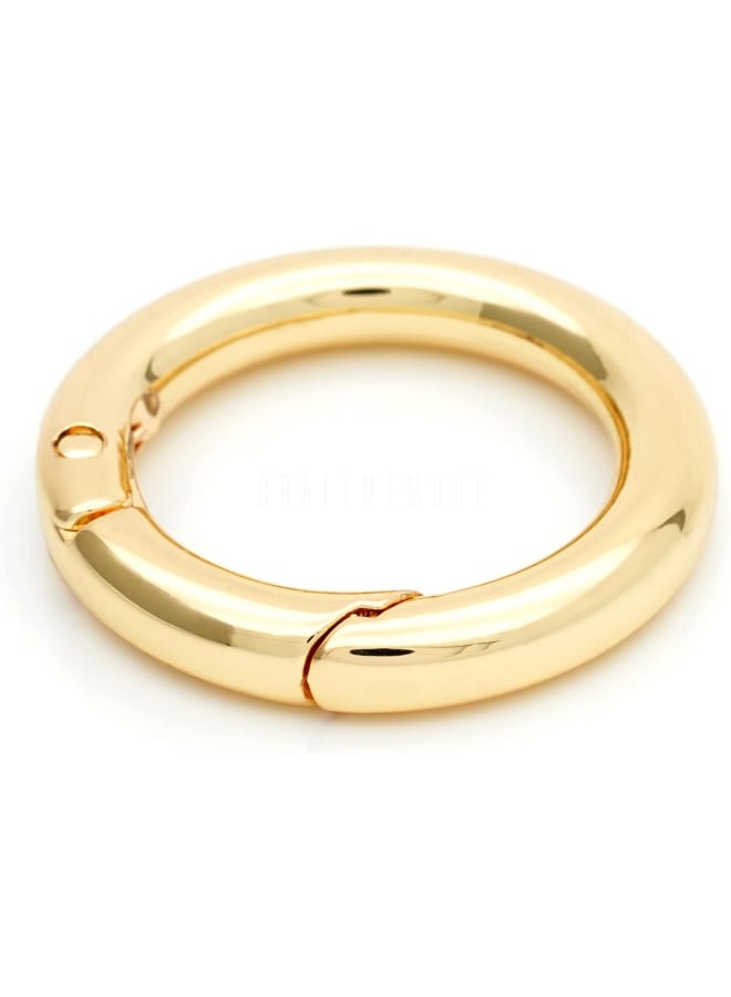 Metal O Ring Spring Opening Purse Making Snap Trigger O-Rings Clip Key Ring Holder Purse Hardware 4pcs SCOS (1 inch, Gold)  - Image 2