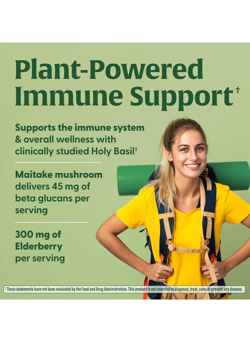 MegaFood فطر السوبر فود لدعم المناعة - تم صياغته بواسطة طبيب مع الريحان المقدس، التوت البري، وفطر الميتاكي، 60 كبسولة / 30 حصة - Image 3