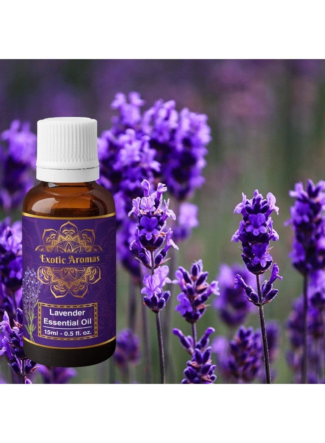 Exotic Aromas Lavender Essential Oil For Aroma Therapy, Stress Relief, Hair, Skin (15Ml + 15Ml) Pack Of 2 - Image 2