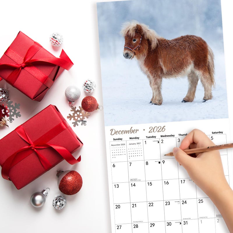 BLYYIEER 2026 Wall Calendar,Calendar 2026,Shetland Pony Cattle Monthly Wall Calendar, 12" x 24" Open,Family Planner Calendar, Home & Office Organizer,Hangable - Image 5