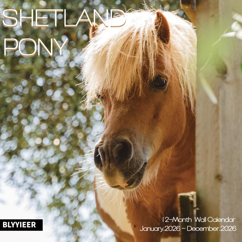 BLYYIEER 2026 Wall Calendar,Calendar 2026,Shetland Pony Cattle Monthly Wall Calendar, 12" x 24" Open,Family Planner Calendar, Home & Office Organizer,Hangable - Image 1