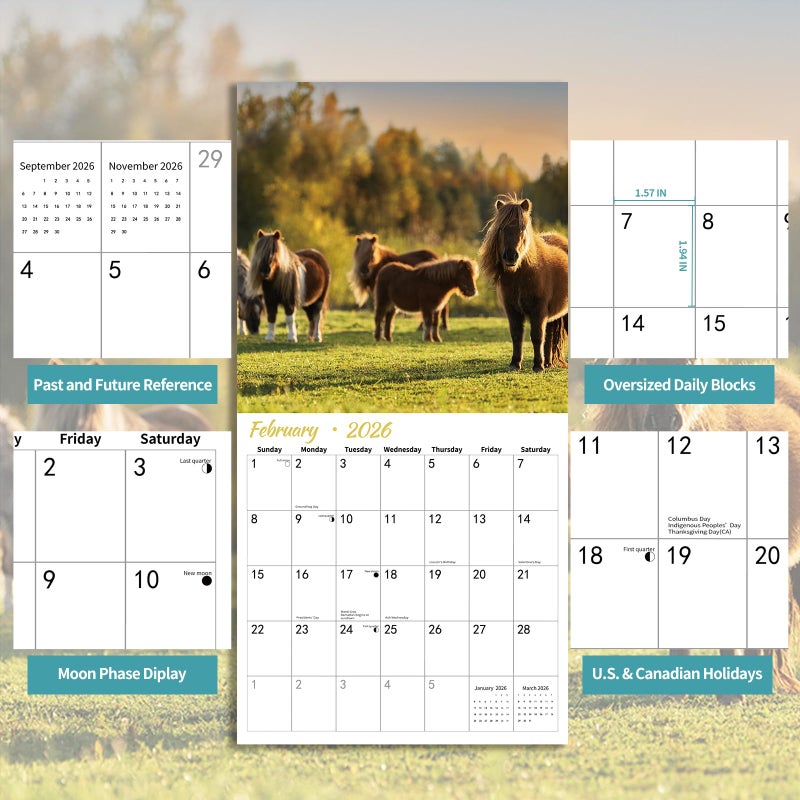 BLYYIEER 2026 Wall Calendar,Calendar 2026,Shetland Pony Cattle Monthly Wall Calendar, 12" x 24" Open,Family Planner Calendar, Home & Office Organizer,Hangable - Image 4