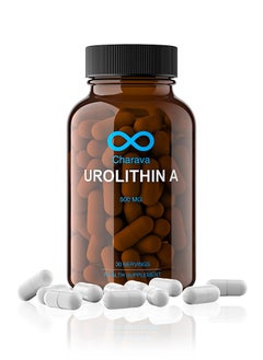 Urolithin A 500mg Mitochondrial Energy And Anti Aging Support 30 Capsules