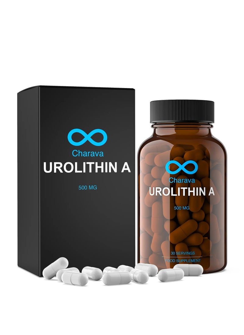 Charava - Urolithin A 500mg Mitochondrial Energy And Anti Aging Support 30 Capsules - Image 1
