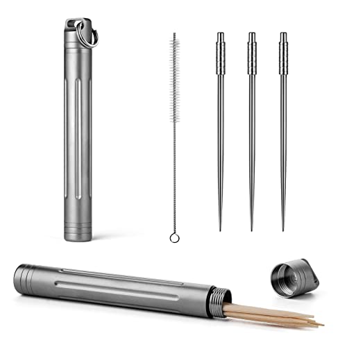 TISUR Titanium Portable Toothpick Holder Pocket with 3 Titanium Metal Toothpicks Reusable Toothpick for Outdoor Camping  Grey