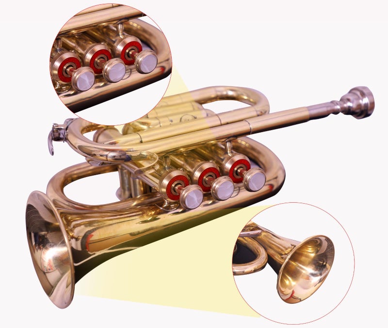 QUEENBRASS Queen Brass B-Flat Pocket Trumpet for Students and Beginners Gold Finish with 7C Mouthpiece Carrying Case Compact Brass Instrument for Practice and Travel - Image 1