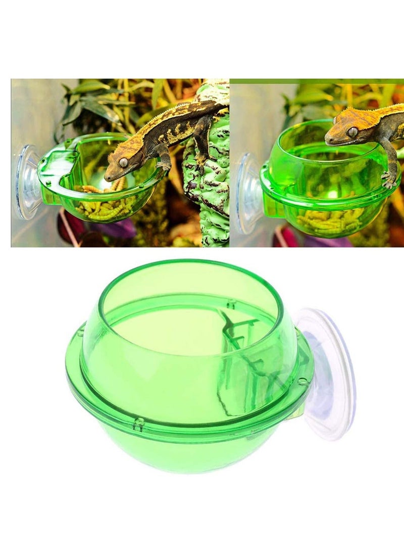 Reptile Food Water Bowl, 2 Pieces Feeding Bowl Feeder Suction Cup,for Small Animal Anti-Escape Lizard Chameleon Gecko, for Or Other Pet Amphibian