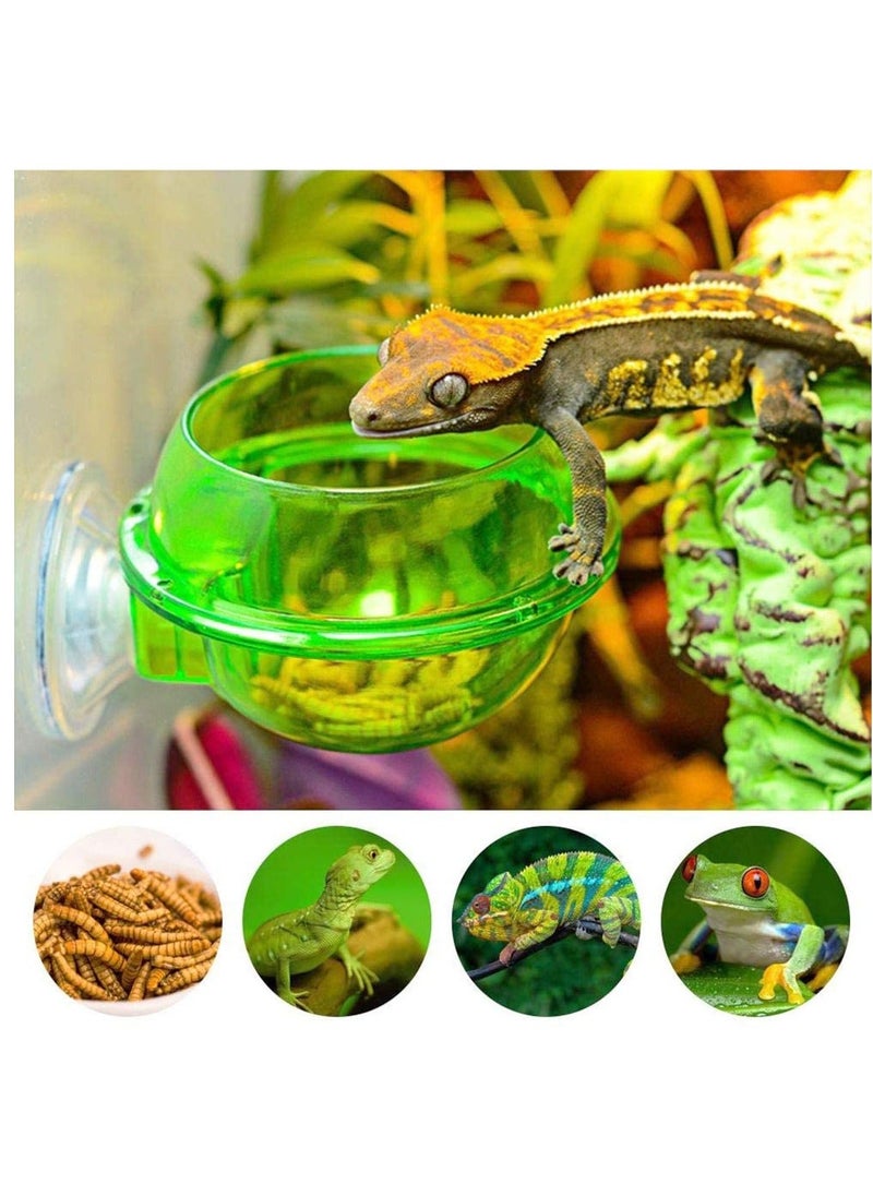 Reptile Food Water Bowl, 2 Pieces Feeding Bowl Feeder Suction Cup,for Small Animal Anti-Escape Lizard Chameleon Gecko, for Or Other Pet Amphibian