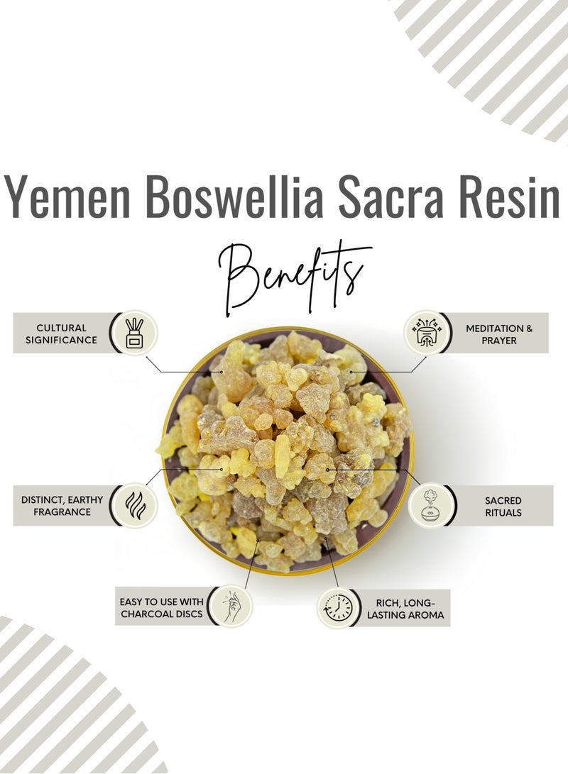 أباميك اللبان المقدس من اليمن الراتنج العطري الأصفر مع قرص الفحم - Image 3