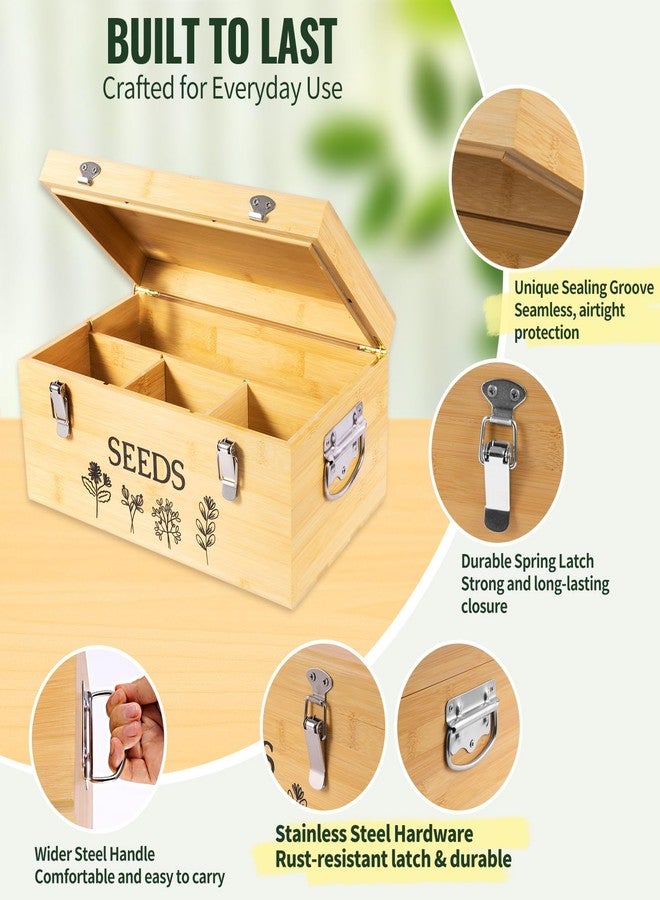 Intarsio Seed Saving Box（Wood） - Image 3