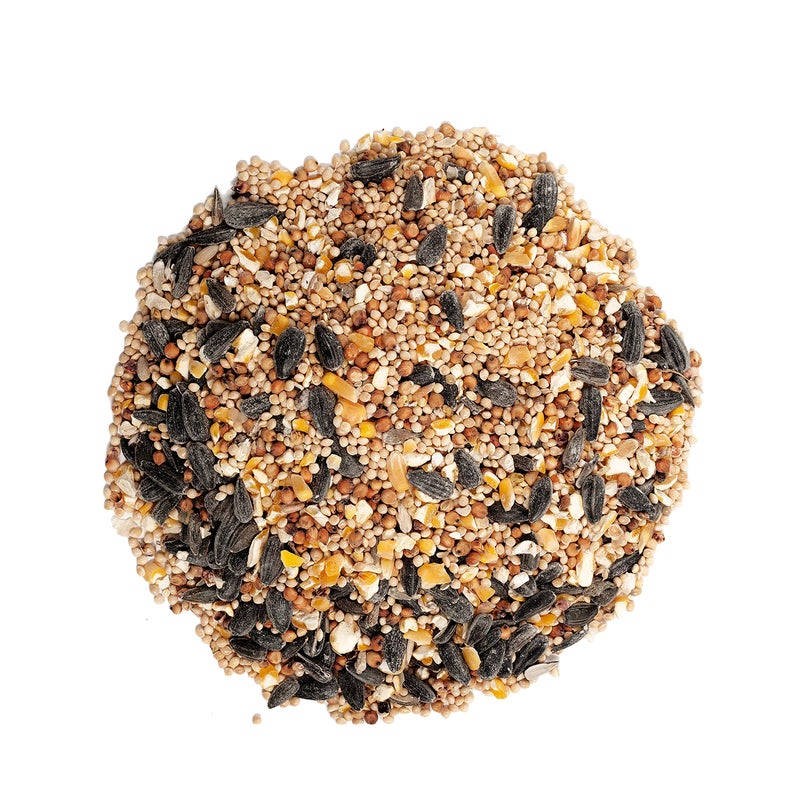 Wagner's 13008 Deluxe Wild Bird Food, 10 lb Bag - Image 3