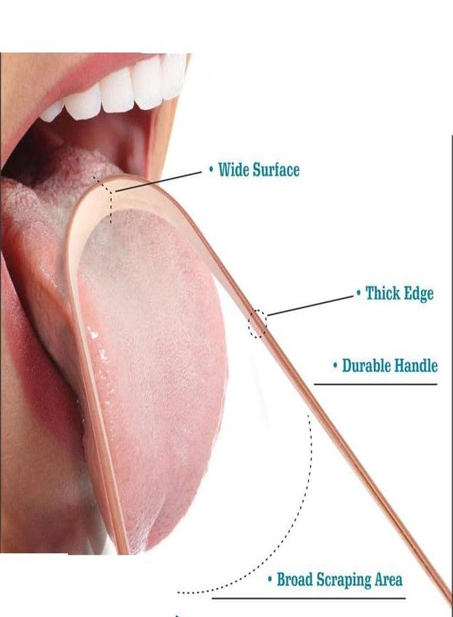 Bague Copper Tongue Cleaner For Kids & Adults Ayurvedic Tongue Scraper For Bad Breath (Round pack of 2 - Image 4
