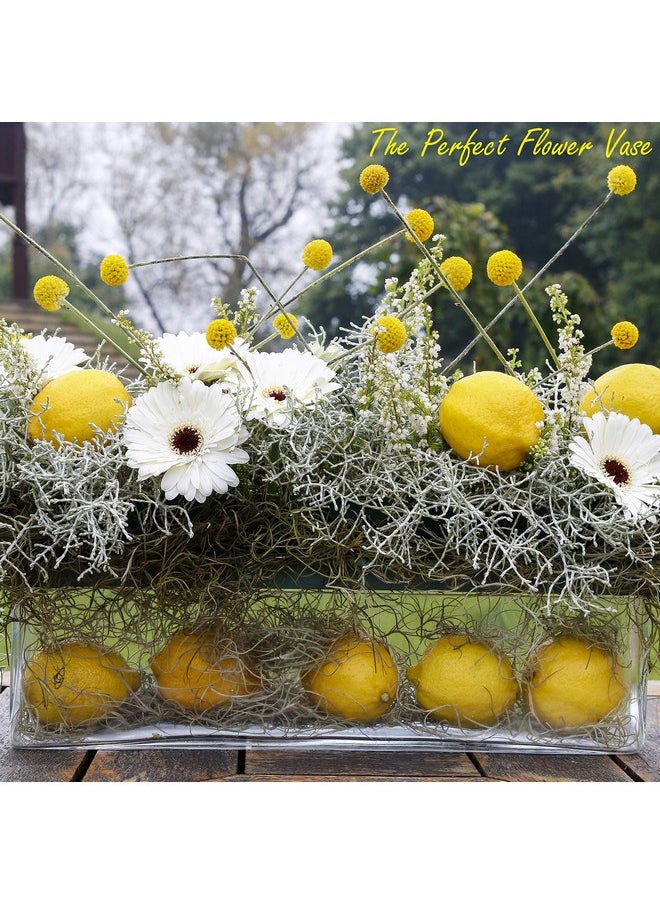 CYS EXCEL Glass Rectangle Vase (H:4" Open:16"X4") | Multiple Size Choices Rectangular Flower Vase Centerpieces | Decorative Wedding Centerpiece Vases | Glass Terrarium Container  - Image 3
