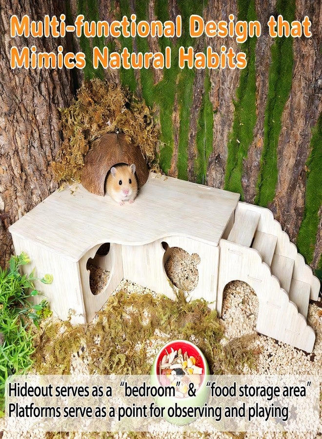 Hamiledyi Hamster Hideout Multi-Chamber Hamster House Maze Tunnel Rat Cage Platform Stand Boards Habitats Decor Accessories for Gerbils Mice Lemmings (M) - Image 5