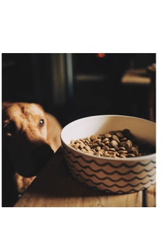 BECO Beco Bamboo Classic Printed Food And Water Bowl Save the Bees For Dogs  - Image 2