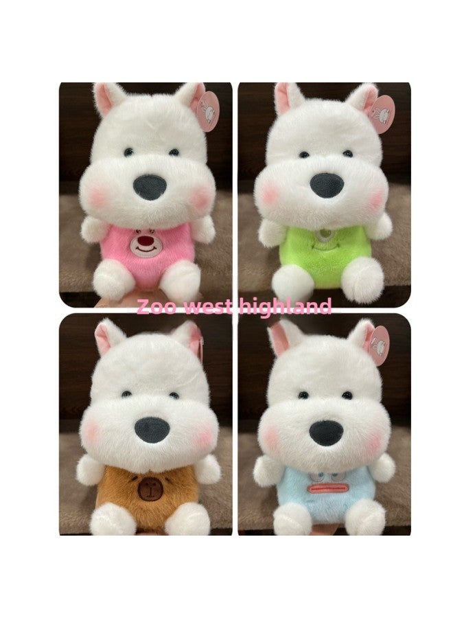 Kappi Bala Small Size Plush Toy Manufacturers 8 Inch Doll Grabbing Machine Doll Wedding Throwing Doll Gifts-Specifications:Animal West Highland-color:Boutique 20- 25cm (single Price, Color Mix And Match) - Image 1