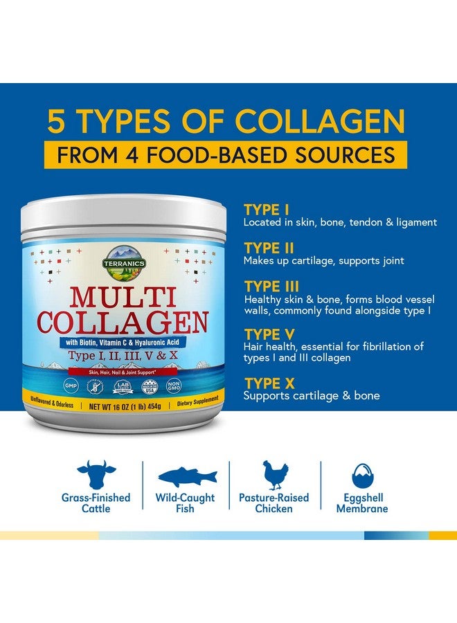 Terranics Multi Collagen Powder Type I Ii Iii V X With Biotin Vitamin C Hyaluronic Acid Paleo & Keto Friendly Skin Hair Nail & Joint Support Bovine Marine Chicken & Eggshell Original No Gluten Nongmo - Image 5