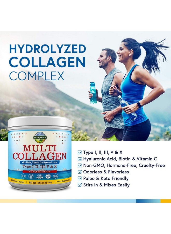 Terranics Multi Collagen Powder Type I Ii Iii V X With Biotin Vitamin C Hyaluronic Acid Paleo & Keto Friendly Skin Hair Nail & Joint Support Bovine Marine Chicken & Eggshell Original No Gluten Nongmo - Image 4