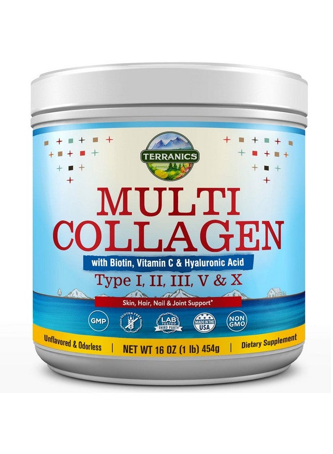Terranics Multi Collagen Powder Type I Ii Iii V X With Biotin Vitamin C Hyaluronic Acid Paleo & Keto Friendly Skin Hair Nail & Joint Support Bovine Marine Chicken & Eggshell Original No Gluten Nongmo - Image 2