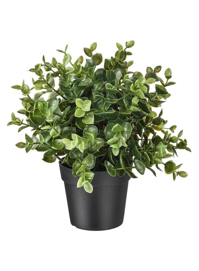 erorex Artificial Potted Plant, Oregano, 9 Cm - Image 1