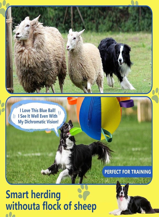 Ruckus Herding Ball, Herding Ball for Dogs, Dog Traing Balls with Straps for Australian Shepherd, Border Collie, Cattle Dog, Large Breed Outdoor Play (10IN) - Image 2