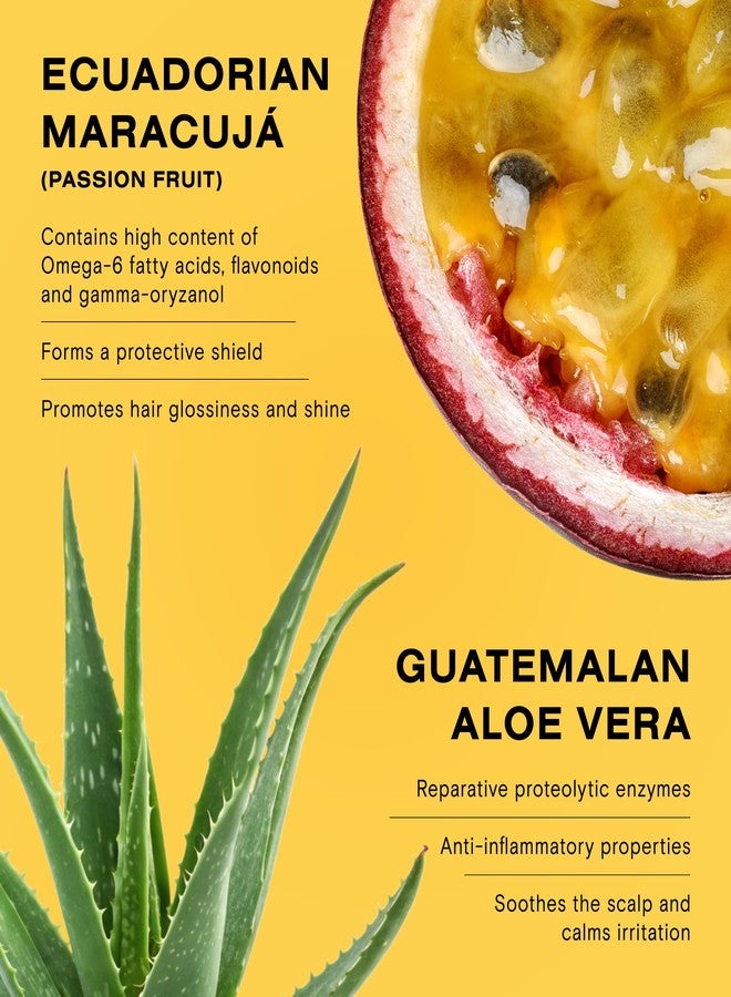 CEREMONIA زيت الشعر سيريمونيا أسيت دي موسكا، سيروم علاج فروة الرأس التراثي، مغذي ومتوازن، علاج ما قبل الشامبو، 60 مل | 2 أونصة سائلة - Image 4