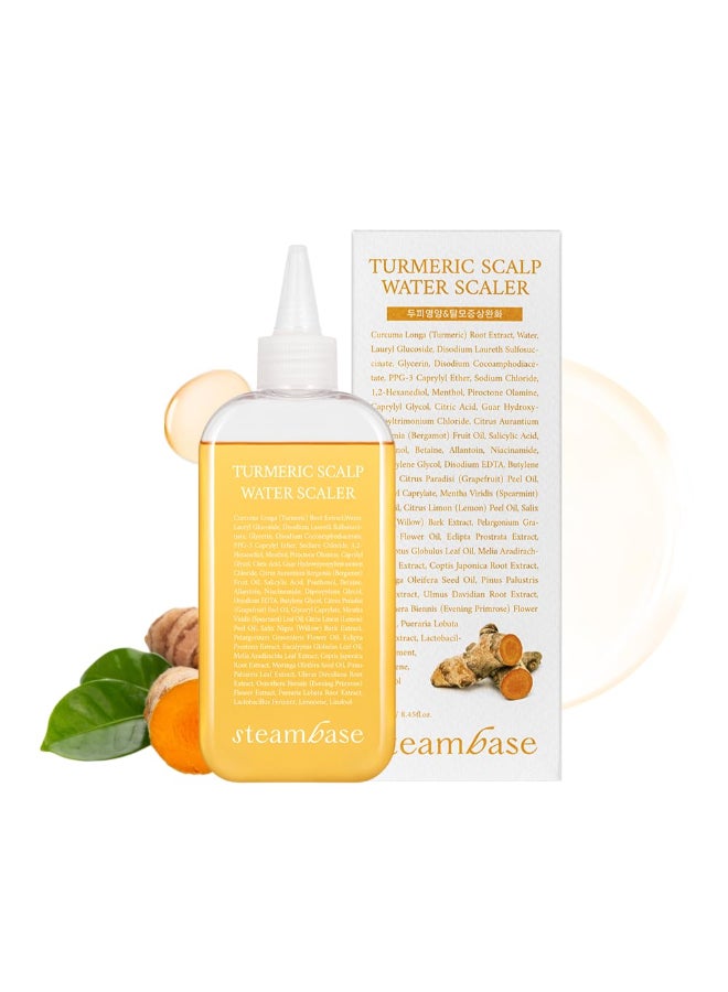 STEAMBASE Turmeric Scalp Water Scaler Scalp Exfoliator for Itchy Dry Scalp Thinning Hair Buildup Remover Treatment for Excess Sebum Oily Greasy Hair Korean Hair Care Products 845 fl oz - Image 2
