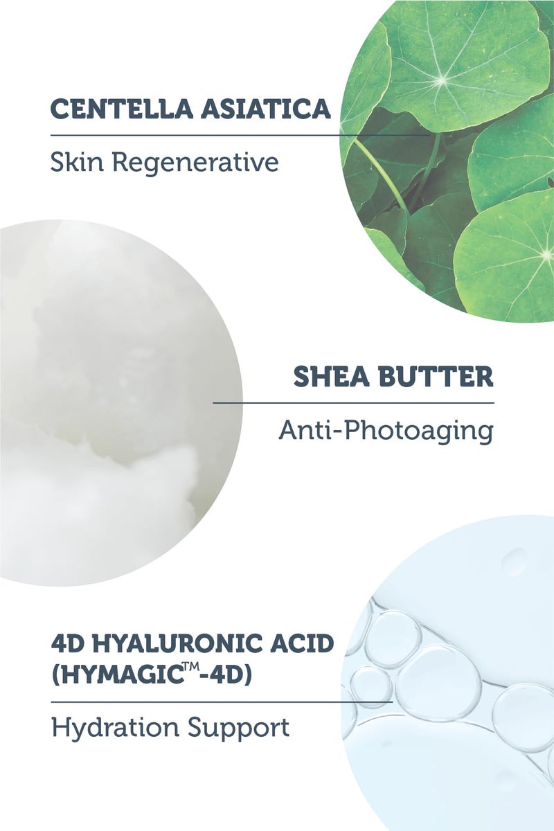 The Purest Solutions Invisible UV Protection (Daily Intensive Moisturizer SPF 50+) - Hyaluronic Acid & Shea Butter for Daily Hydration - Sunscreen - Anti-Aging Care - All Skin Types (1.69 fl. oz) - Image 5