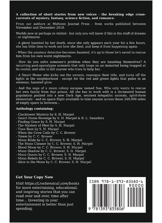 New Voices Volume 6  - Image 2