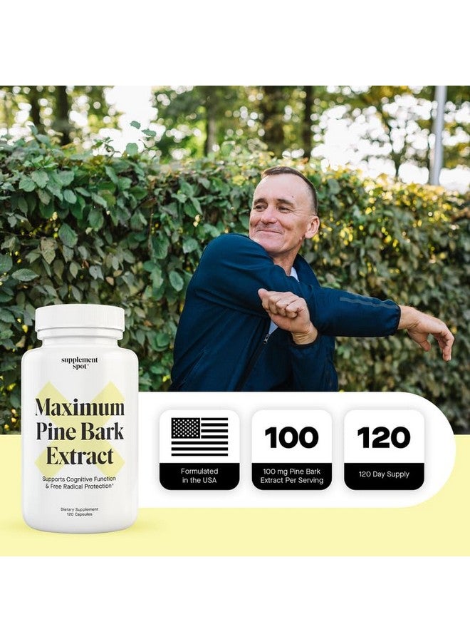 Supplement Spot Maximum Pine Bark Extract 100 mg per Serving| Maritime Pine Bark Supplement for Natural Health Support (120 Capsules) - Image 4