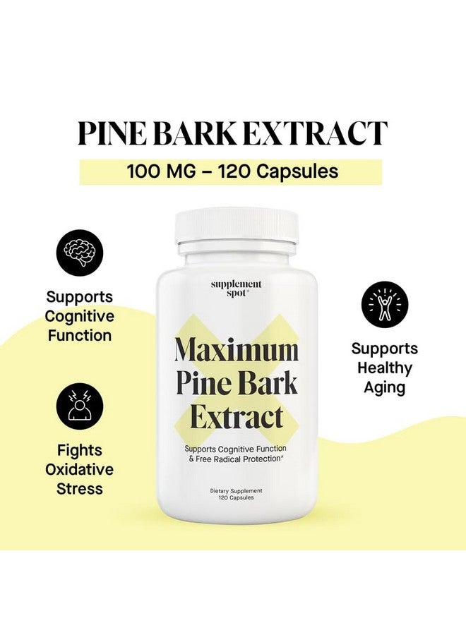 Supplement Spot Maximum Pine Bark Extract 100 mg per Serving| Maritime Pine Bark Supplement for Natural Health Support (120 Capsules) - Image 2