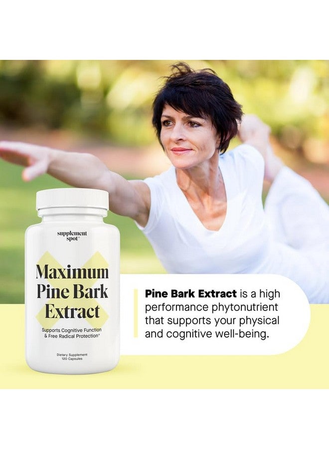 Supplement Spot Maximum Pine Bark Extract 100 mg per Serving| Maritime Pine Bark Supplement for Natural Health Support (120 Capsules) - Image 3