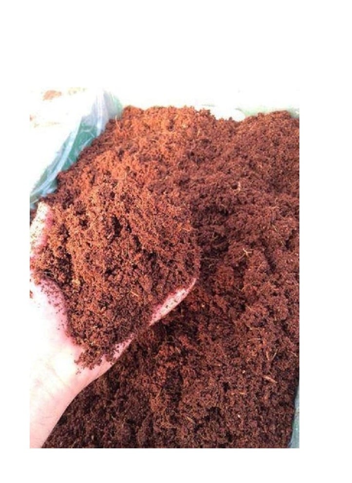 Cocopeat 2.5L Bag - pzsku/ZF7A49D6E50CD32191E8CZ/45/_/1729408819/73944039-5ee9-4c5c-9fdd-edbe4b9dba4f