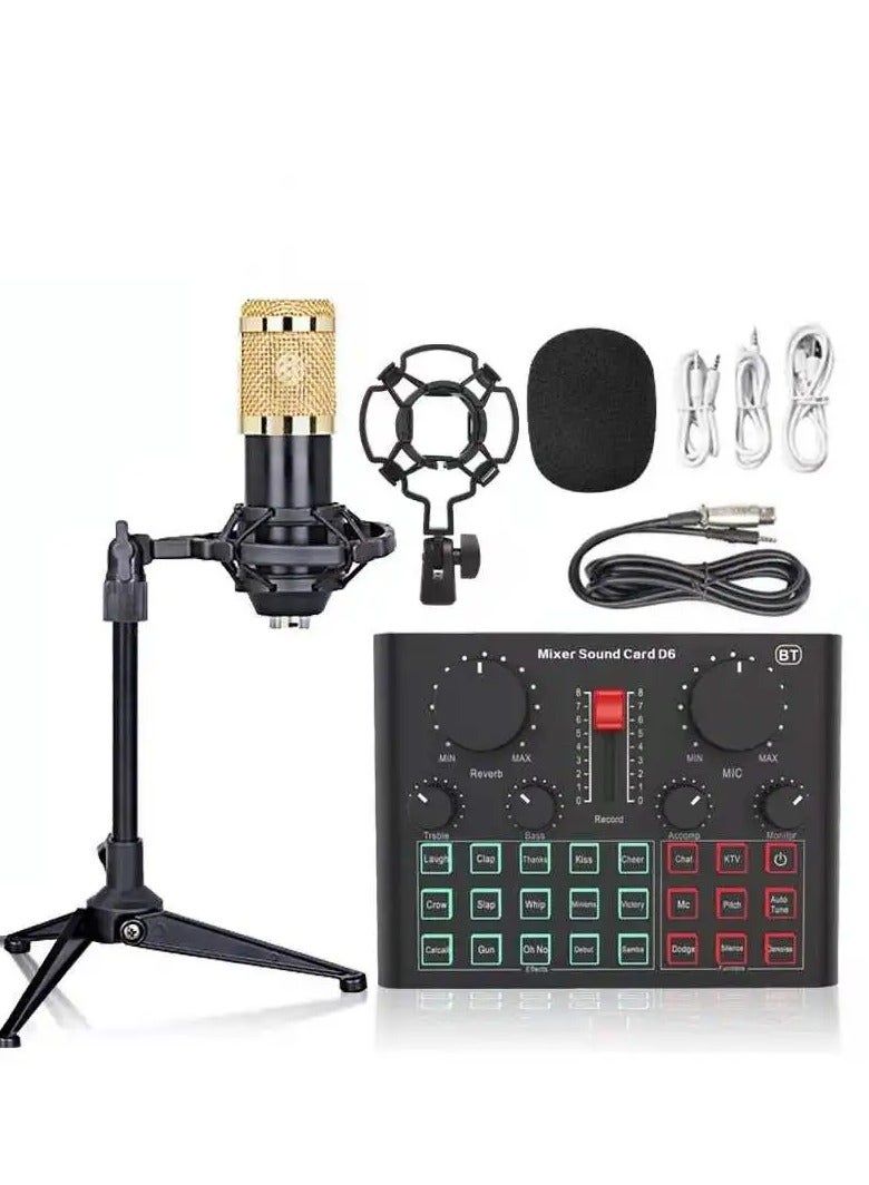 D6 Sound Card With bm800 Mic - Image 1