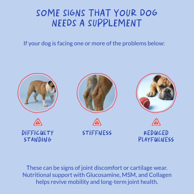 Coco and Luna Hip and Joint Support for Dogs - Max Strength - 90 Soft Chews - with Green Lipped Mussel, Glucosamine, Turmeric, Fish Oil, MSM and Yucca Schidigera. - Image 3