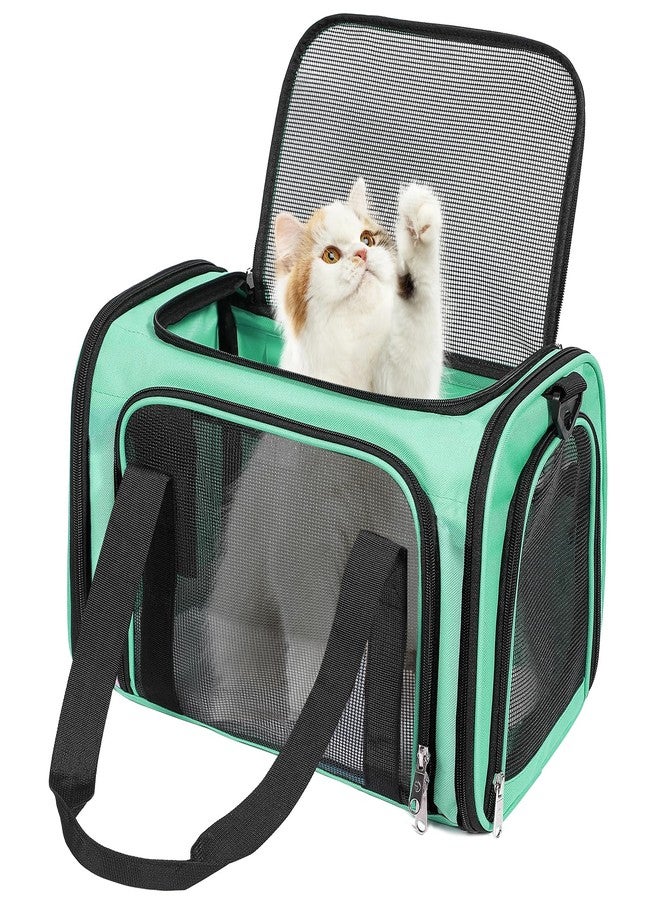 Discala Cat Dog Carrier Up to 15 Lbs TSA Airline Approved Pet Carrier for Small Medium Cats Puppies Dog Carriers for Small Dogs Collapsible Soft Sided Cat Travel Carrier - Green 15.7"x10.2"x10.2" - Image 1