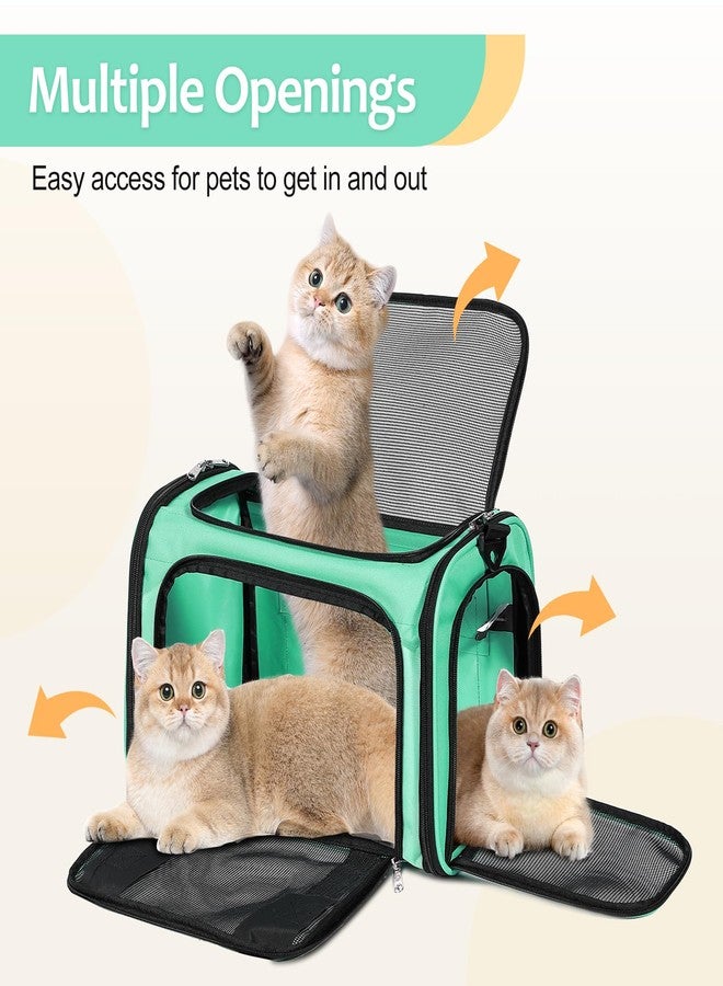 Discala Cat Dog Carrier Up to 15 Lbs TSA Airline Approved Pet Carrier for Small Medium Cats Puppies Dog Carriers for Small Dogs Collapsible Soft Sided Cat Travel Carrier - Green 15.7"x10.2"x10.2" - Image 4