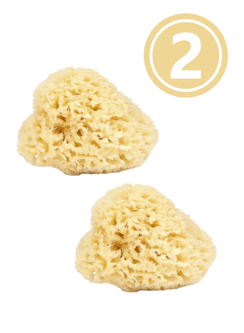 najel Natural Sponge from Mediterranean Sea for Sensitive Skin Yellow Pack of 2 - Image 1