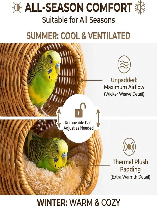 JIX SDFFAY Rattan Bird Nest Chewproof Steel Frame Parakeet Nesting House for Cage, Small Bird Hammock Parrot Sleeping Bed with Soft Mat for Cockatiels Budgerigars Finches Canaries - Image 4