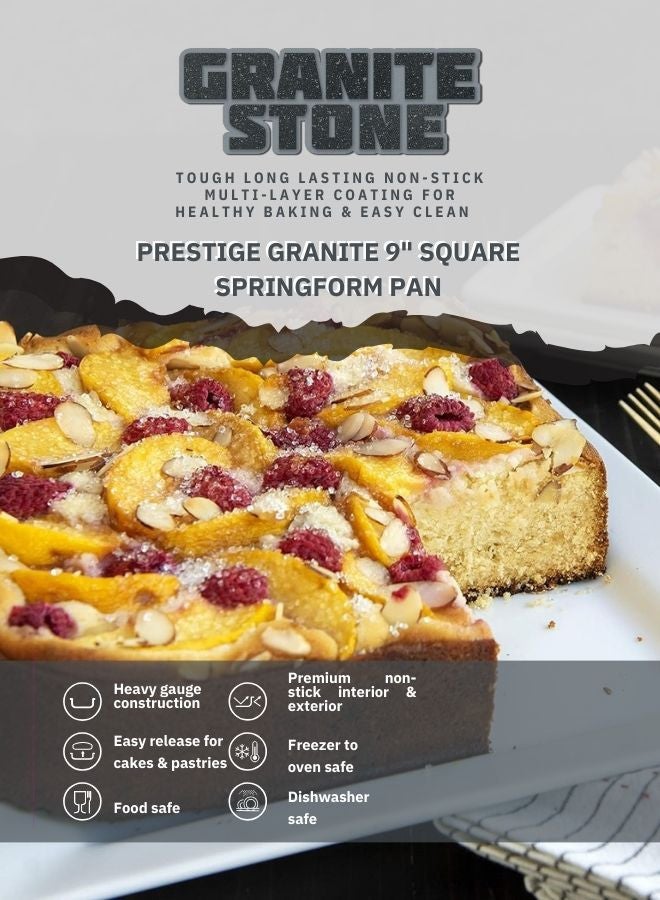 Granite 9" Square Springform Pan | Rectangular Roaster Pan Carbon Steel, Oven Safe | Premium Non-Stick Coating pan
