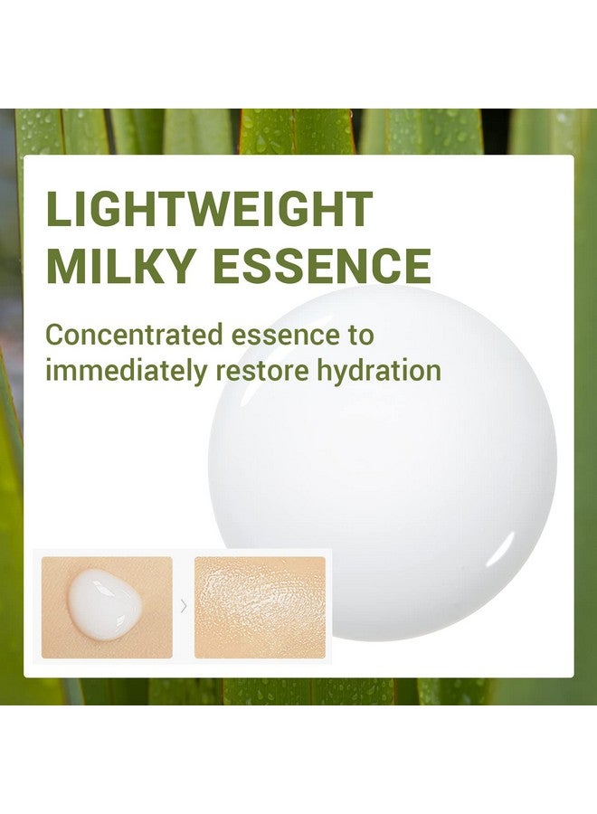 THESAEM Urban Eco Harakeke Essence 1.69 fl.oz. - Vegan Hydrating Facial Essence with Harakeke Extracts and Hyaluronic Acid - Refine Texture, Soothe Irritated Skin - Image 4