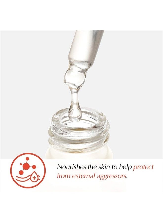 THE POTIONS - Camellia Japonica Seed Oil Serum for Face l 100% Camellia Seed Oil l Korean Skincare, Cruelty-free, Hypoallergenic - 20ml - Image 1