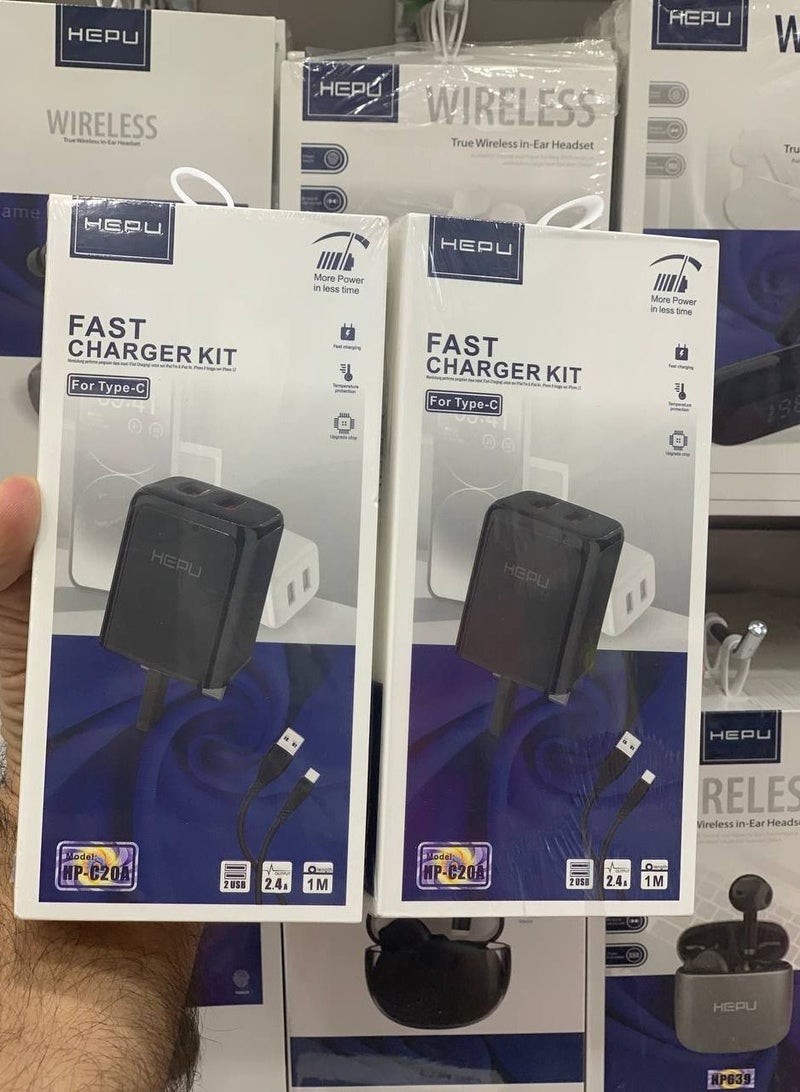 هيبو شاحن HEPU من النوع C مع منفذين USB