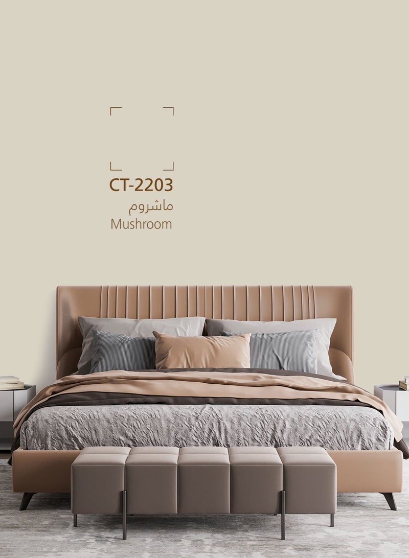 Jazeera Paints Green Interior Walls Paints Silk (color :Mushroom) 16.2L - Image 2