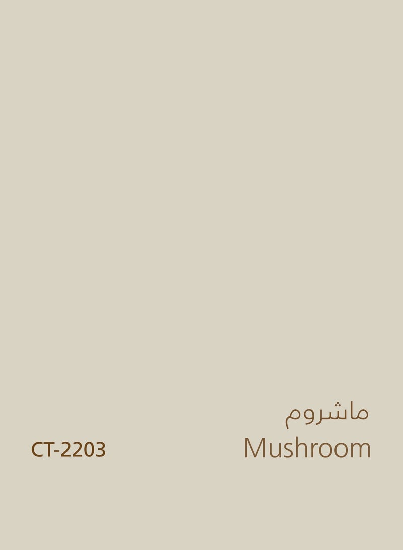 Jazeera Paints Green Interior Walls Paints Silk (color :Mushroom) 16.2L - Image 4